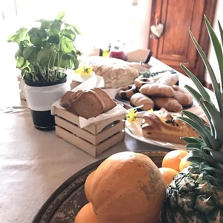 Le Forri Agriturismo E B&B Pistoia Exterior photo